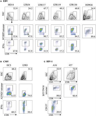 Preferential HLA-B27 Allorecognition Displayed by Multiple Cross-Reactive Antiviral CD8+ T Cell Receptors